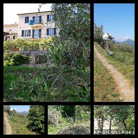 Rural House Rondini Hotel Camposasco Exterior photo