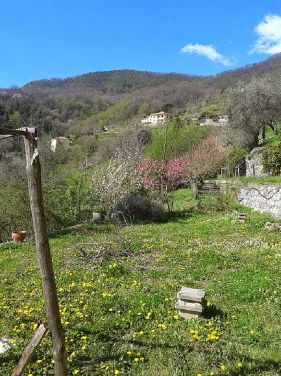 Rural House Rondini Hotel Camposasco Exterior photo